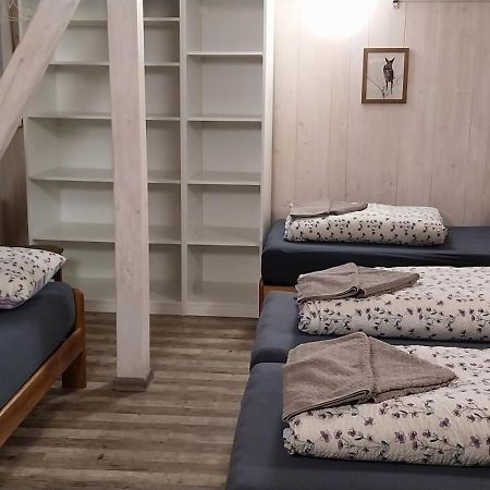Ski Apartmany Nymburska Chata 派克波特斯耐兹库 外观 照片
