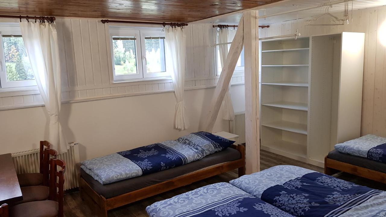 Ski Apartmany Nymburska Chata 派克波特斯耐兹库 外观 照片
